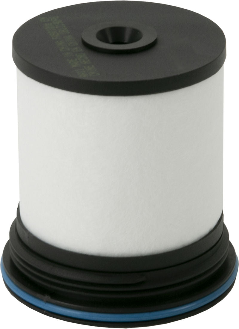 NLT21-WF10165