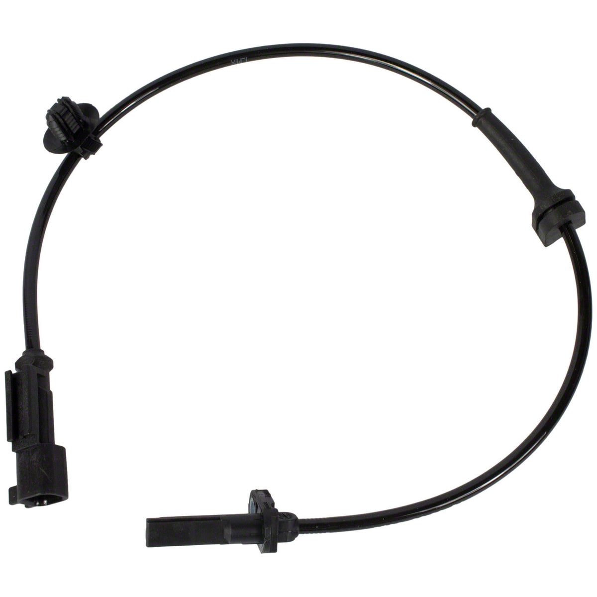 NLT22-BRAB406