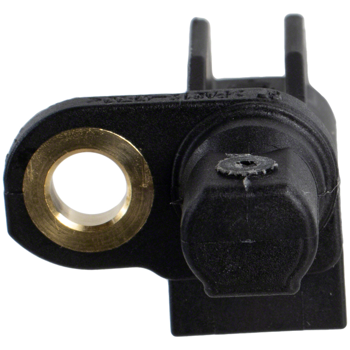 NLT22-BRAB631