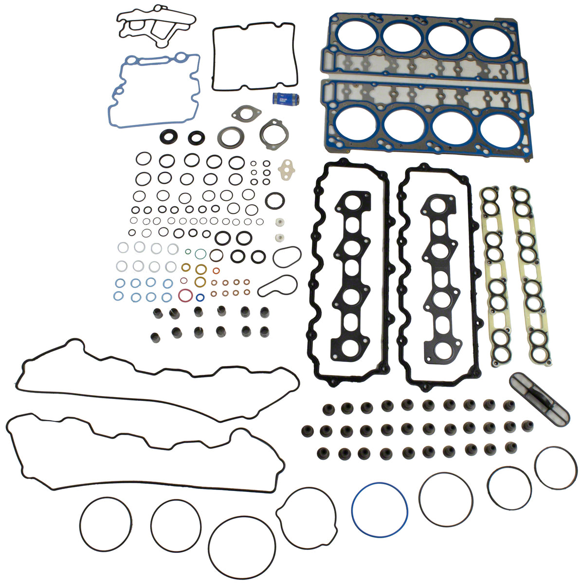 NLT22-EVG1