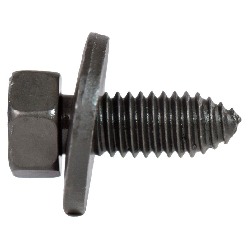 NLT402-20244