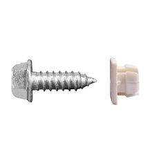 Muela Porta Placa 6.35Mm #14 Universal Con Tornillo 6.35Mm X 19.05Mm (50 Pz) 20142