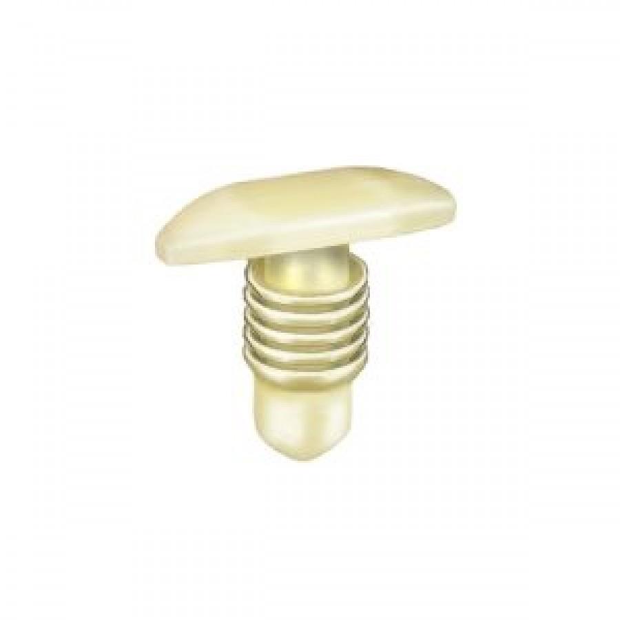 REMACHE GM 20200750   (sf) (H-21)