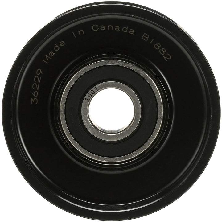 NLT15-36229