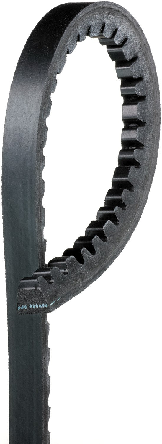 NLT15-7355