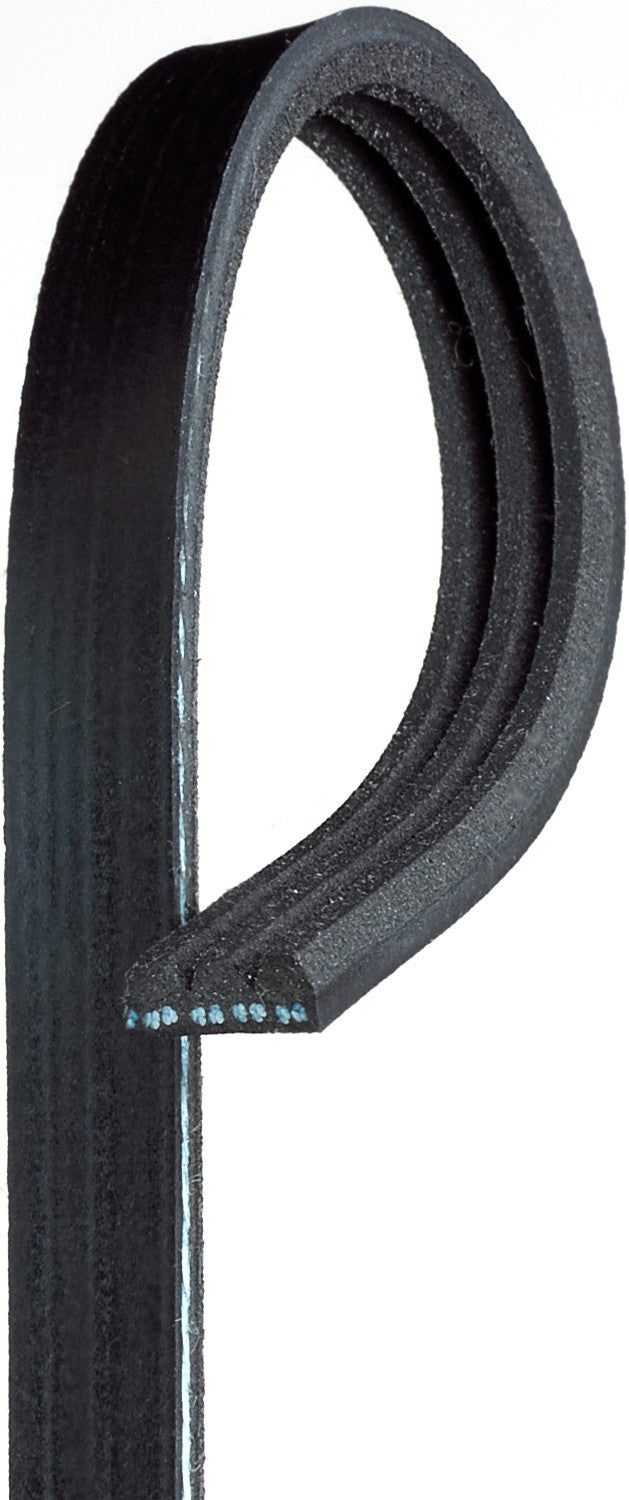 NLT15-K030310