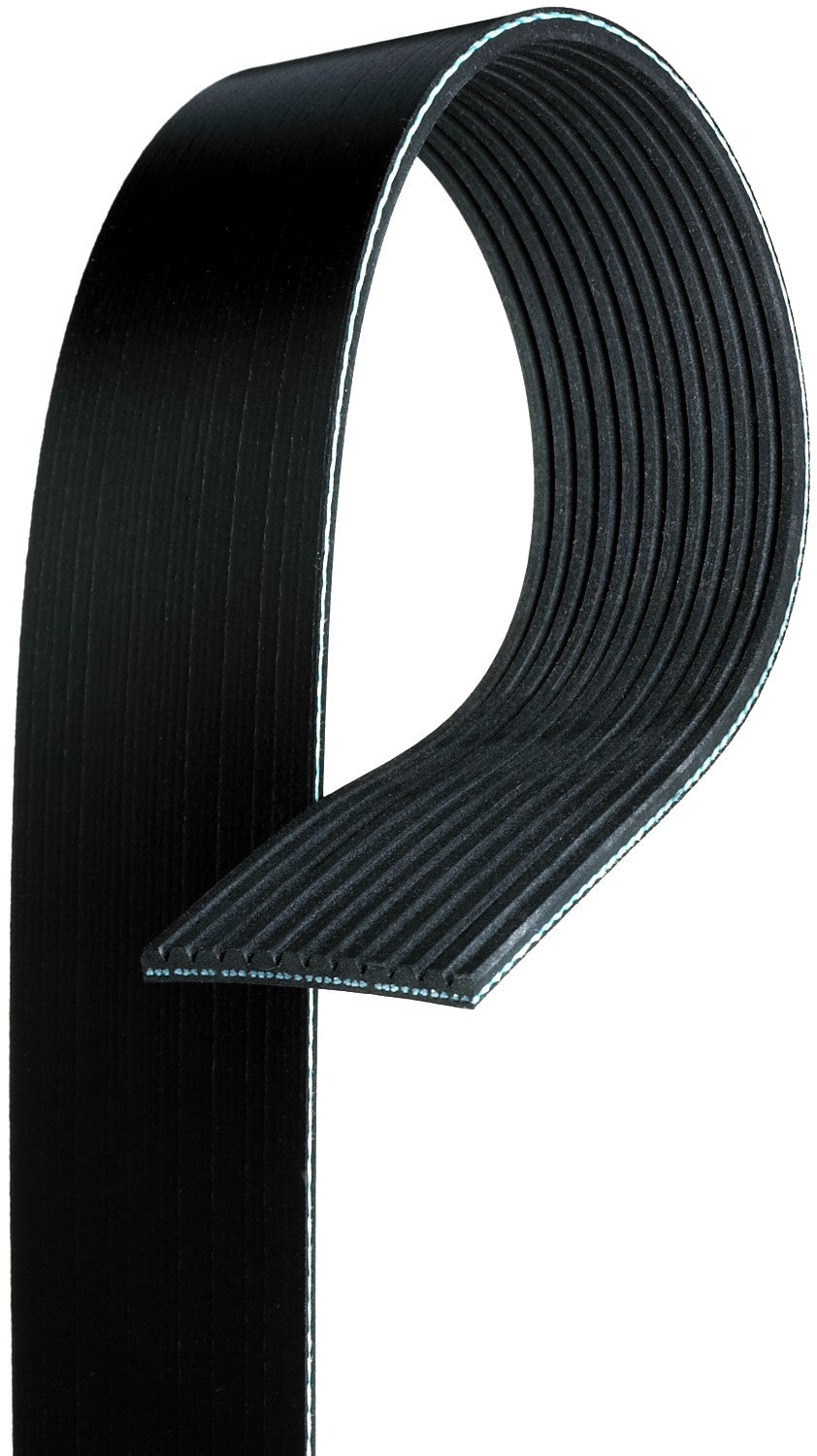 NLT15-K120400