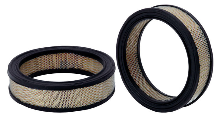 NLT21-42296