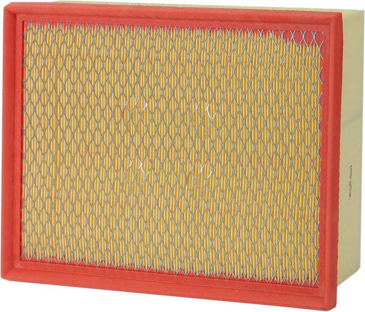 NLT21-49350