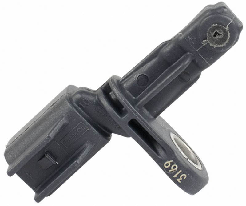 NLT22-BRAB551