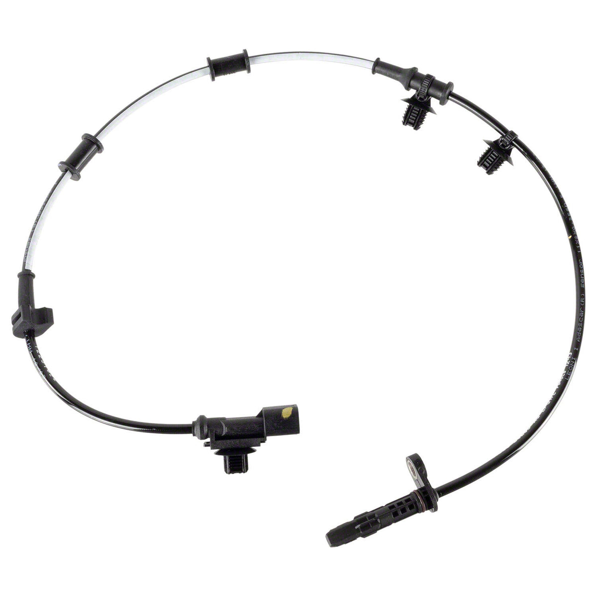 NLT22-BRAB640