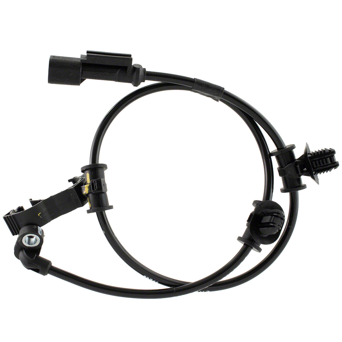 NLT22-BRAB650
