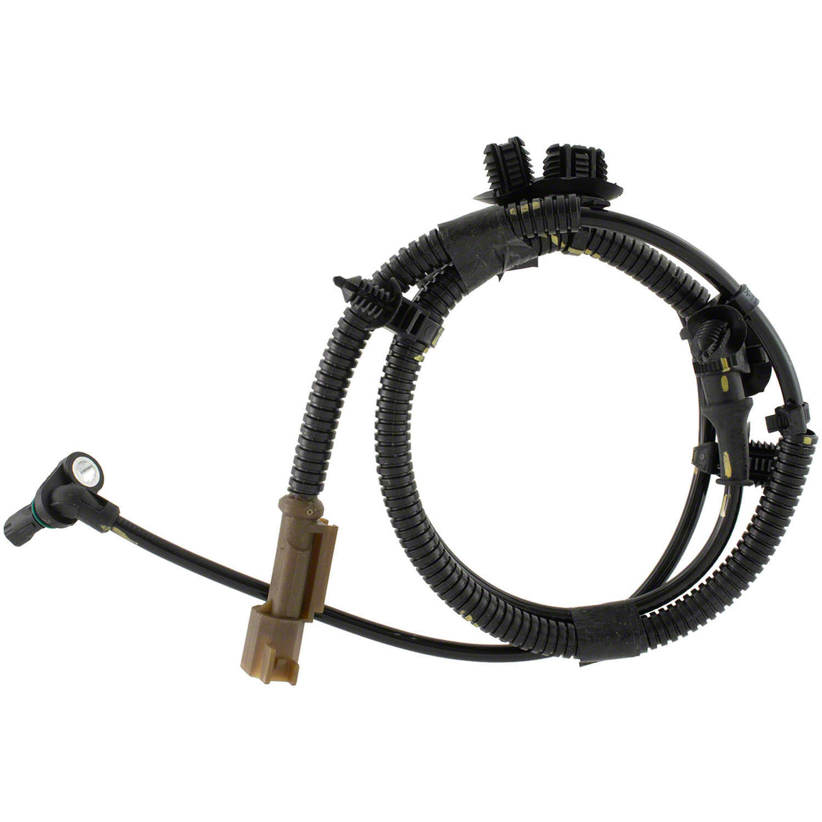 NLT22-BRAB651