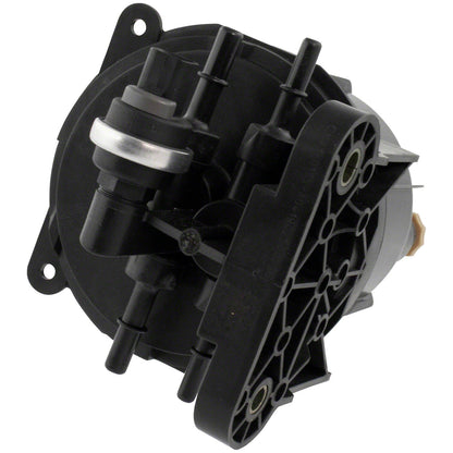 NLT22-FD4634