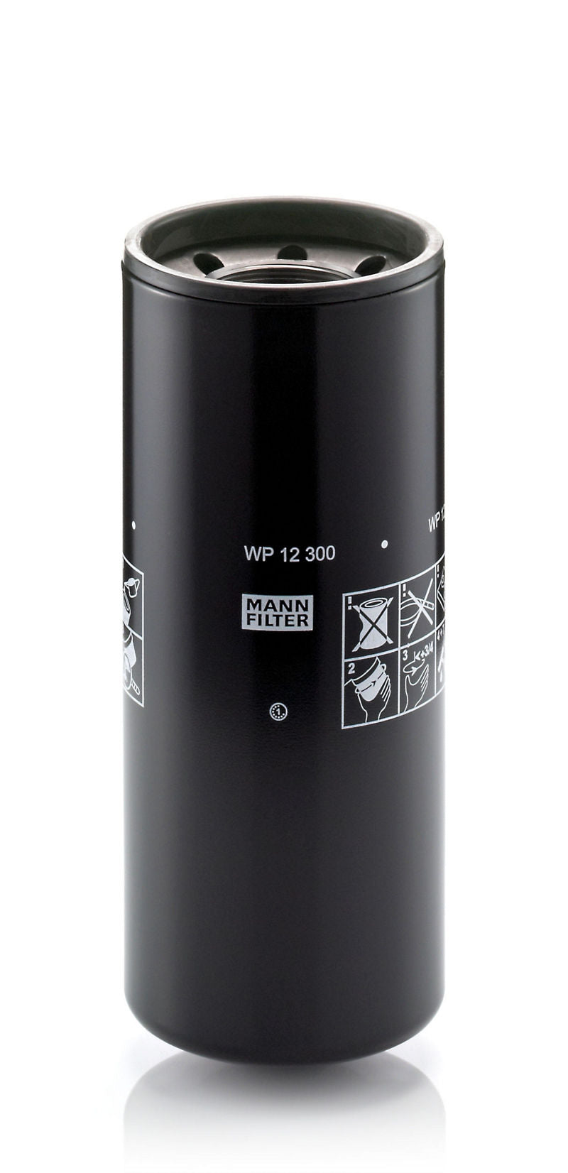 NLT306-WP12300