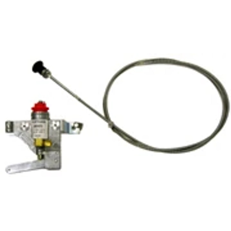 NLT309-259372