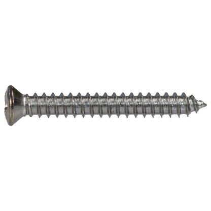 NLT402-20197