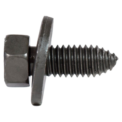 NLT402-20244