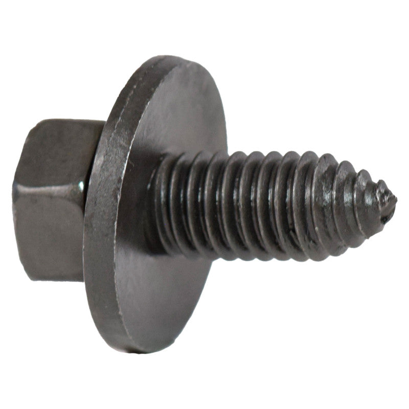 NLT402-20244