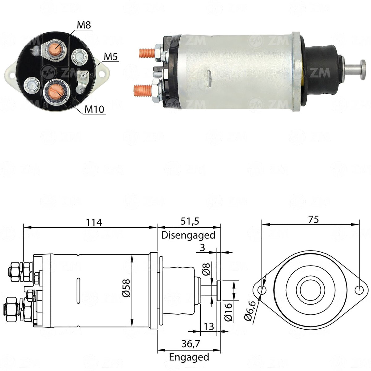 NLT5500-SZM810